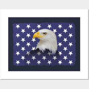 USA Bald Eagle Posters and Art